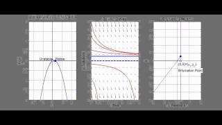 What is a Transcritical Bifurcation [upl. by Namruht232]