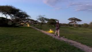 Review Kontik Camp  Ndutu Southern Serengeti [upl. by Ainatnas]