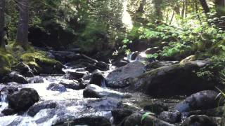 Donich Falls walk above Lochgoilhead in Argyll [upl. by Kelvin]