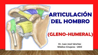 🥇 ARTICULACIÓN DEL HOMBRO Glenohumeral Fácil Rápida y Sencilla [upl. by Rodnas]