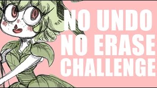 NO CTRL Z No Erase No Undo Challenge [upl. by Quentin]