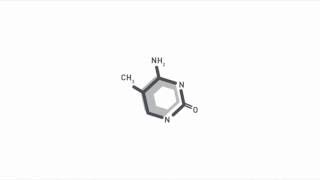 DNA methylation analysis by multiplexed reduced representation bisulfite sequencing RRBS [upl. by Dugaid]