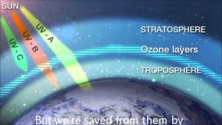 Electromagnetic Spectrum Science Song [upl. by Ytissahc]