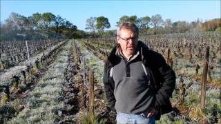 Un vigneron de Touraine lutte contre le gel de printemps [upl. by Wolf]