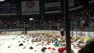 2013 Utica College Teddy Bear Toss [upl. by Lundgren]