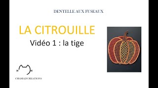 LA CITROUILLE Vidéo 1 La tige de la citrouille [upl. by Aihsotal]