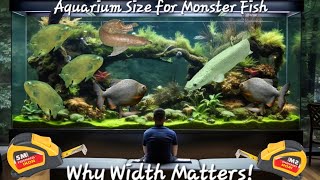 how to choose aquarium size for monster fishes  why aquarium width matters predatorpowerhouse [upl. by Crissie349]