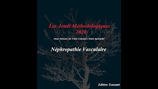 Item 260  Néphropathie Vasculaire [upl. by Aicnarf]