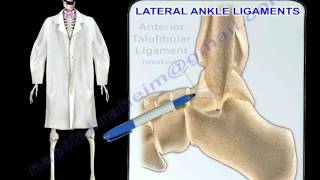 Ankle Ligaments Anatomy  Everything You Need To Know  Dr Nabil Ebraheim [upl. by Luz754]