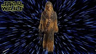 Star Wars  Chewbacca Sound Effect [upl. by Tilden]