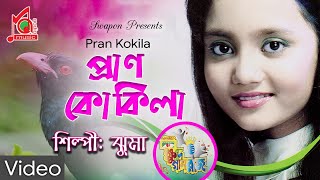 Jhuma  Pran Kokila  প্রাণ কোকিলা  ক্ষুদে গানরাজ  Bangla Video Song  Music Audio [upl. by Aivyls]