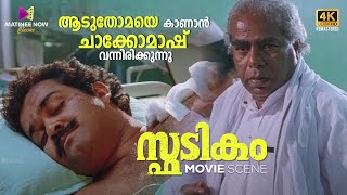 ആടുതോമയെ കാണാൻ ചാക്കോമാഷ് വന്നിരിക്കുന്നു  Spadikam  Mohanlal  Bhadran  Thilakan [upl. by Leon]