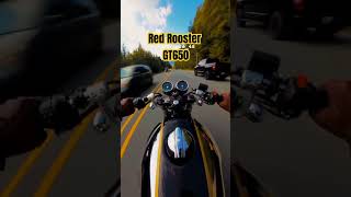 Red rooster exhaustContinental GT 650ASMRsoundbikelover roadtrip [upl. by Eicyac]