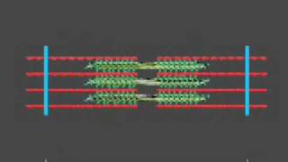 How a muscle contraction is signalled  Animation [upl. by Gold]