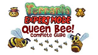 Terraria Queen Bee Expert Guide Normal too Drops Boss Fight How to Summon Abeemination [upl. by Cence]