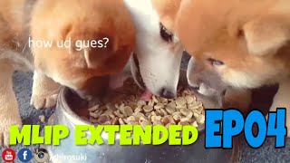 MLIP extended cuts  Ep 04  Shiba Inu puppies [upl. by Ennaoj]