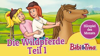 Bibi und Tina Die Wildpferde  Teil 1 Folge 13  Hörspiel des Monats das ZWEITPLATZIERTE Mai [upl. by Jeunesse]