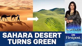 Sahara Turns Green Should we Celebrate or Worry  Vantage with Palki Sharma [upl. by Noivert]