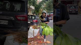 Rescued Repotted and ready to thrive Meet my rescued Dumb cane🌱🪴 ytshorts gardening plants [upl. by Sualkin872]