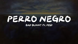 PERRO NEGRO  BAD BUNNY FT FEID LetraLyrics [upl. by Cathee]