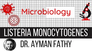 Listeria Monocytogenes  USMLE Step 1 Microbiology  Dr Ayman Fathy [upl. by Zamir]