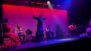 💃🏻Barcelona flamenco dance show [upl. by Nareht]