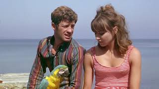 Pierrot Le Fou O Demônio das Onze Horas  O QUE VOU FAZER JeanLuc Godard  Legendado em PTBR [upl. by Eeryt814]