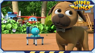 SUPERWINGS Best Exciting Animal Tag  Superwings  Super Wings  Best Compilation EP75 [upl. by Enneirdna]