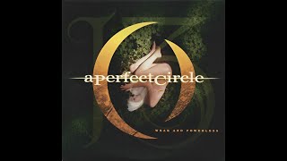 A Perfect Circle • Weak and Powerless Instrumental [upl. by Ocirled]