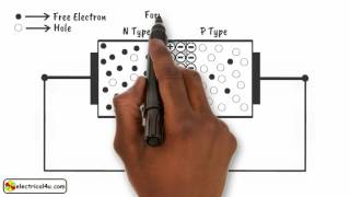 How does a Diode Work A Simple Explanation  How Diodes Work  Electrical4U [upl. by Nnylatsyrc135]