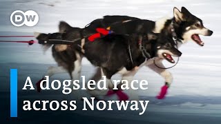 Europe’s toughest dogsled race  DW Documentary [upl. by Yriek]