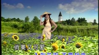 劉珺兒  野花不要採 MV Stereo [upl. by Browning]