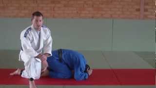 Juji Gatame when attacking the turtle by Matt D’Aquino [upl. by Notsrik654]