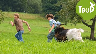 Bocksprünge Folge 7  Tiere bis unters Dach  SWR Plus [upl. by Adnowat]