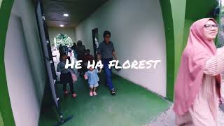 HE HA forest Kaliurang [upl. by Arahk]