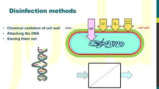 Membrane filtration vs UV and chemical disinfection for water treatment Membrane vs series 5 [upl. by Phares]