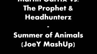 Martin Garrix vs The Prophet amp Headhunterz  Summer of Animals JoeY MashUp [upl. by Relly]