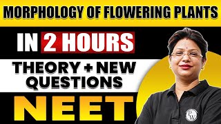 MORPHOLOGY OF FLOWERING PLANTS in 2 Hours  All Theory  Expected Questions for NEET [upl. by Aicnarf]