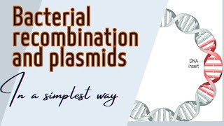 Bacterial recombination and Plasmid [upl. by Nagoh]