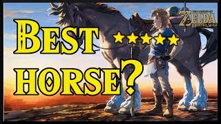 Zelda Breath of the Wild Where to find the BEST HORSES [upl. by Royo447]