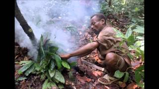 Mbuti Pygmies Song after collecting honey amp hunting song [upl. by Otti287]