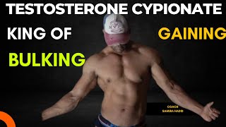 testosterone Cypionate Cycle  beginner steroid cycle  Gaining Cycle  bulking cycle [upl. by Adiene]