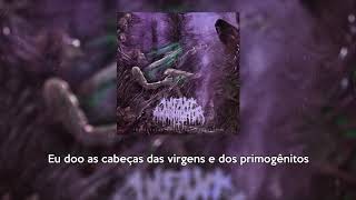 Infant Annihilator  Unholy Gravebirth Legendado PTBR [upl. by Rramahs33]