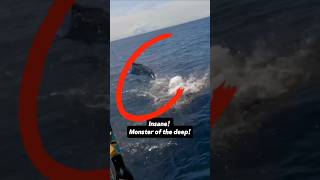 Crazy Catch Monster Marlin Pulled from the Deep bigfish fishing fypシ゚ shorts [upl. by Ellerahc170]