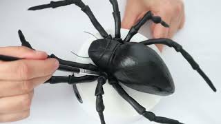 spider cake topper tutorial [upl. by Ahtennek433]