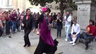 Flamenco dance 7 in Granada 2015 [upl. by Herta]