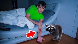 A Vicious Raccoon ATTACKED Me In The Middle Of The Night [upl. by Hennessy]