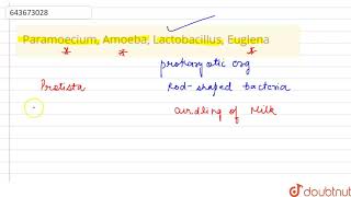 Paramoecium Amoeba Lactobacillus Euglena  7  KINGDOM CLASSIFICATION I  BIOLOGY  ICSE  Do [upl. by Niriam]