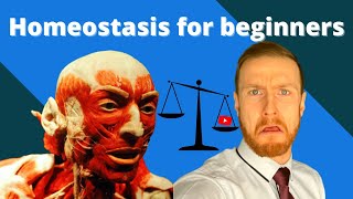 HOMEOSTASIS Fundamentals AQA ALevel Biology [upl. by Ahsyia43]