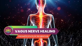 Vagus Nerve Healing Sound Therapy  Promote State Of Relaxation  Reduce Stress Anxiety amp Trauma [upl. by Mutua]